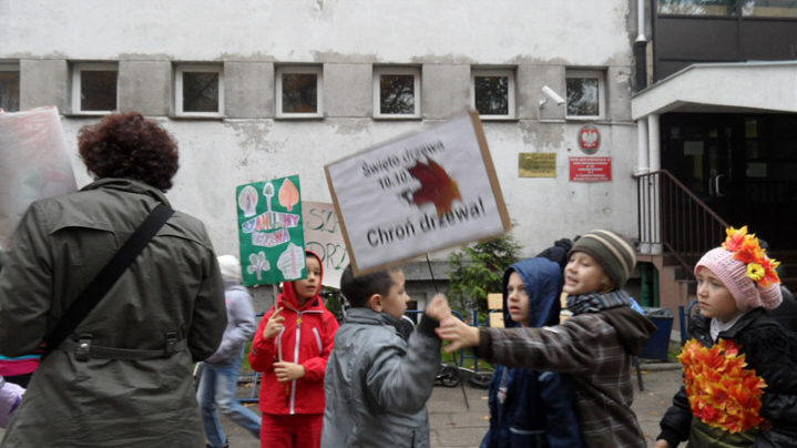 święto drzewa