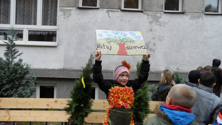 święto drzewa