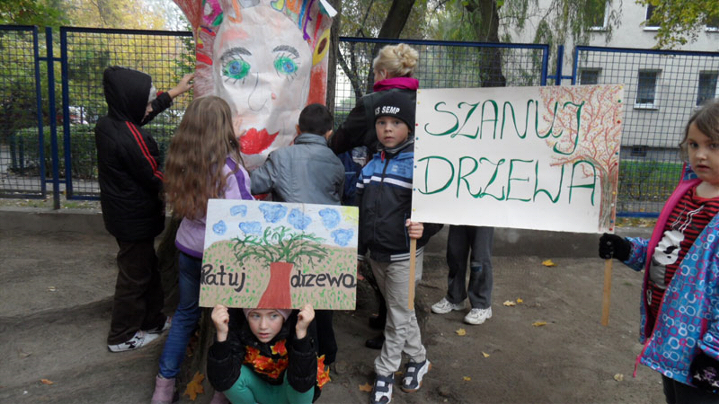 święto drzewa